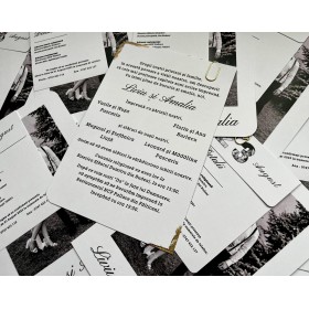 Invitatie nunta - Model 13 Invitatie nunta - Model 13